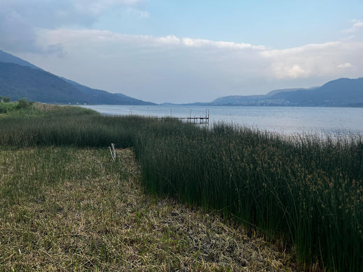 San Jose Del Lago