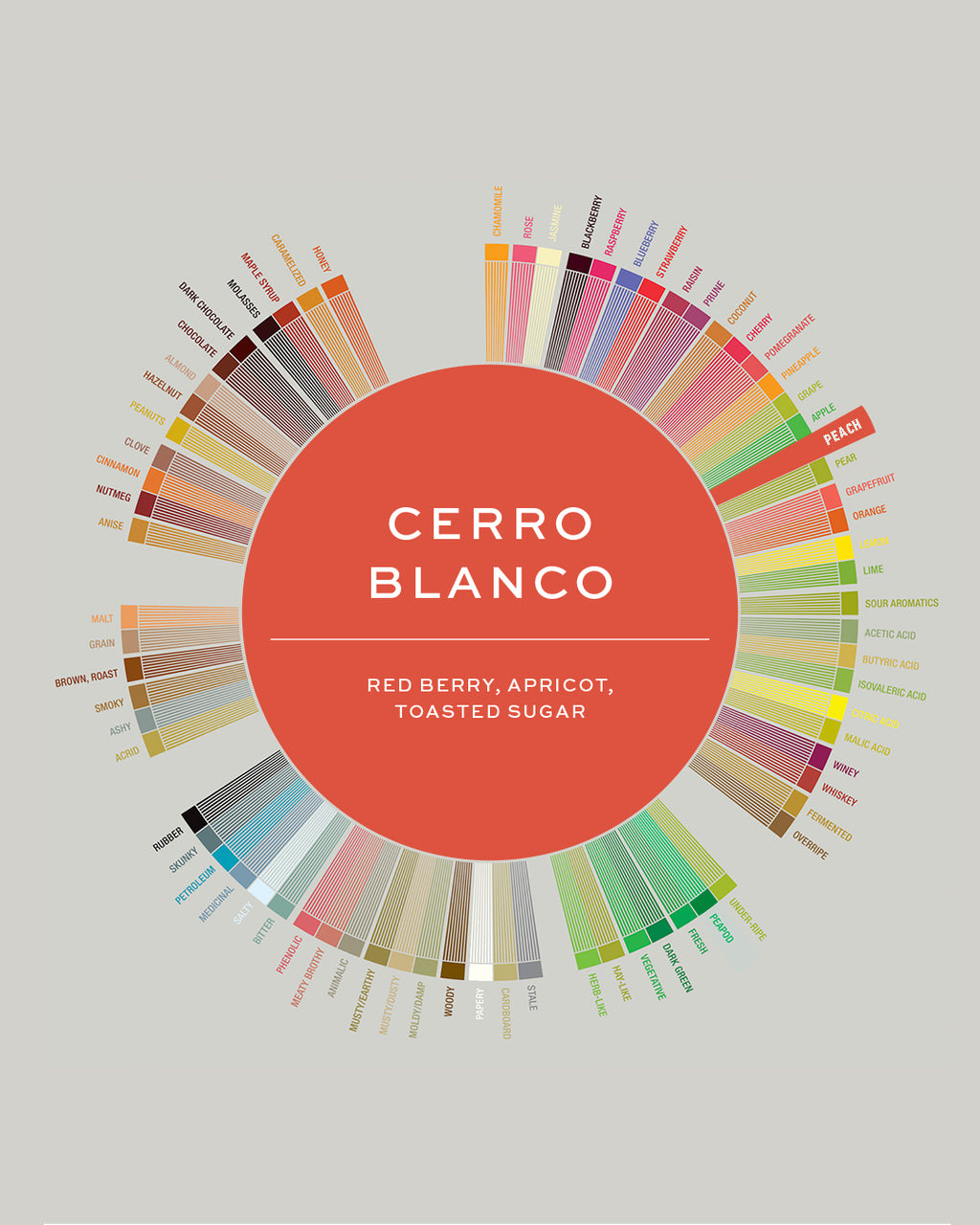 Peru | Cerro Blanco