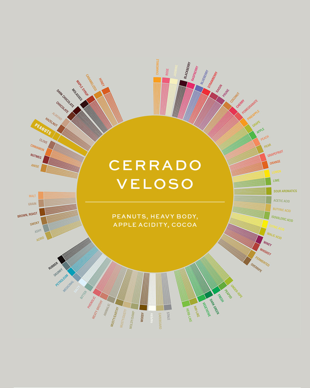 Brazil | Veloso