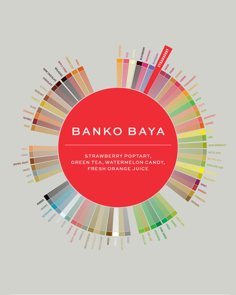 Ethiopia | Banko Bayo