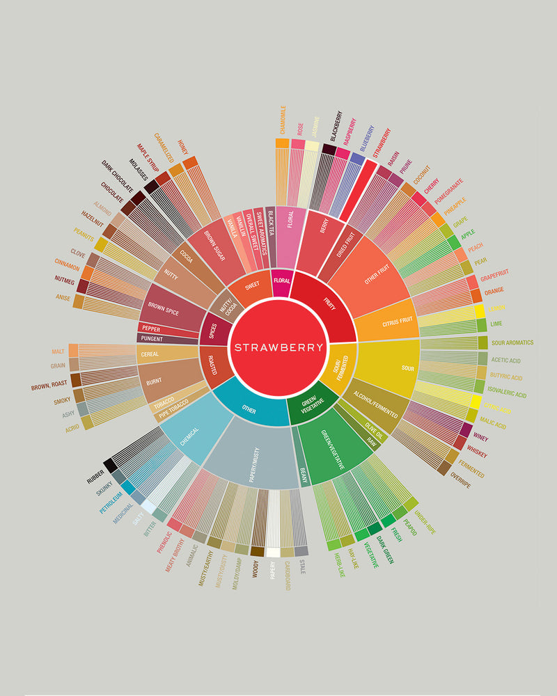 Ethiopia | Banko Bayo