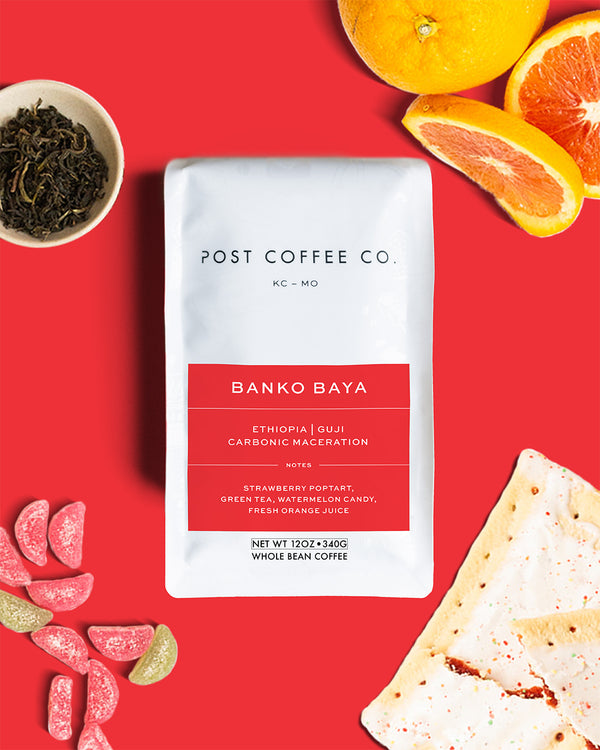 Ethiopia | Banko Bayo